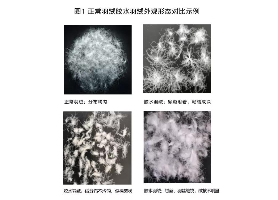 充绒量500以上的羽绒服测评,新国标防羽绒测试