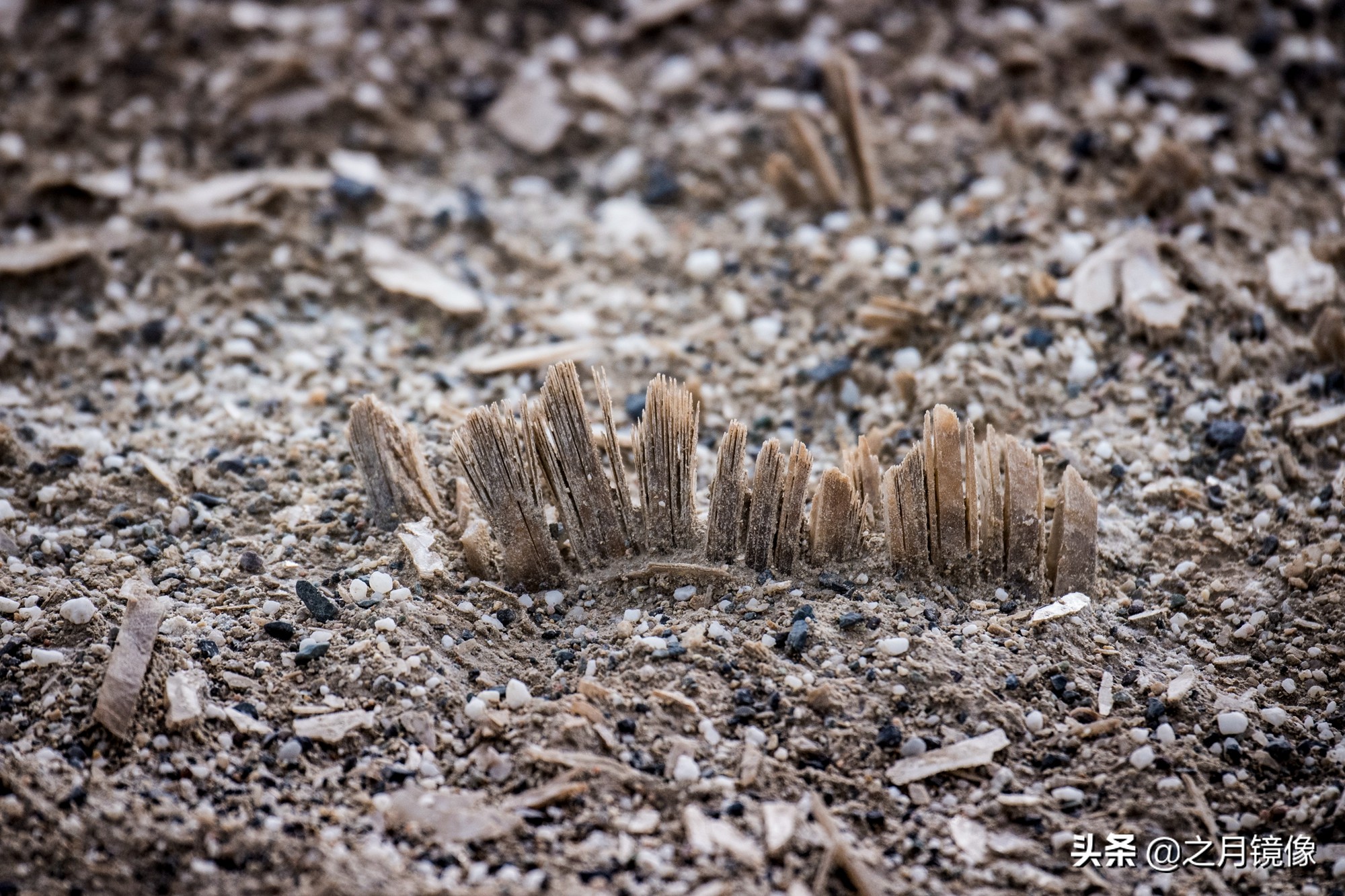 冷湖：岁月留痕英雄魂犹在，火星穿越大漠情依然，柴达木探秘2