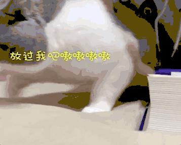 宅家无聊自嗨起来,宅家自娱自乐大赛