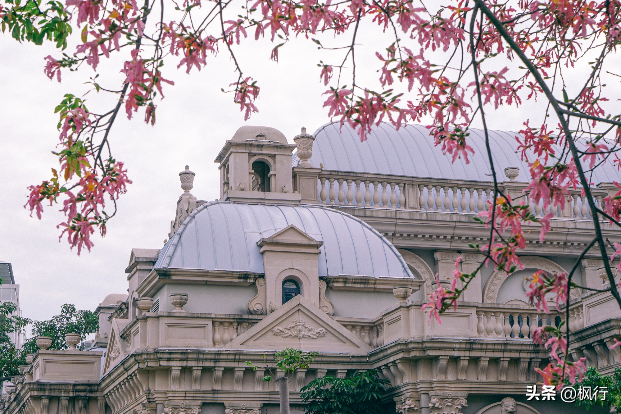 被猴子袭击，门票昂贵，拍照被轰，被我全程吐槽的三亚到底值不值