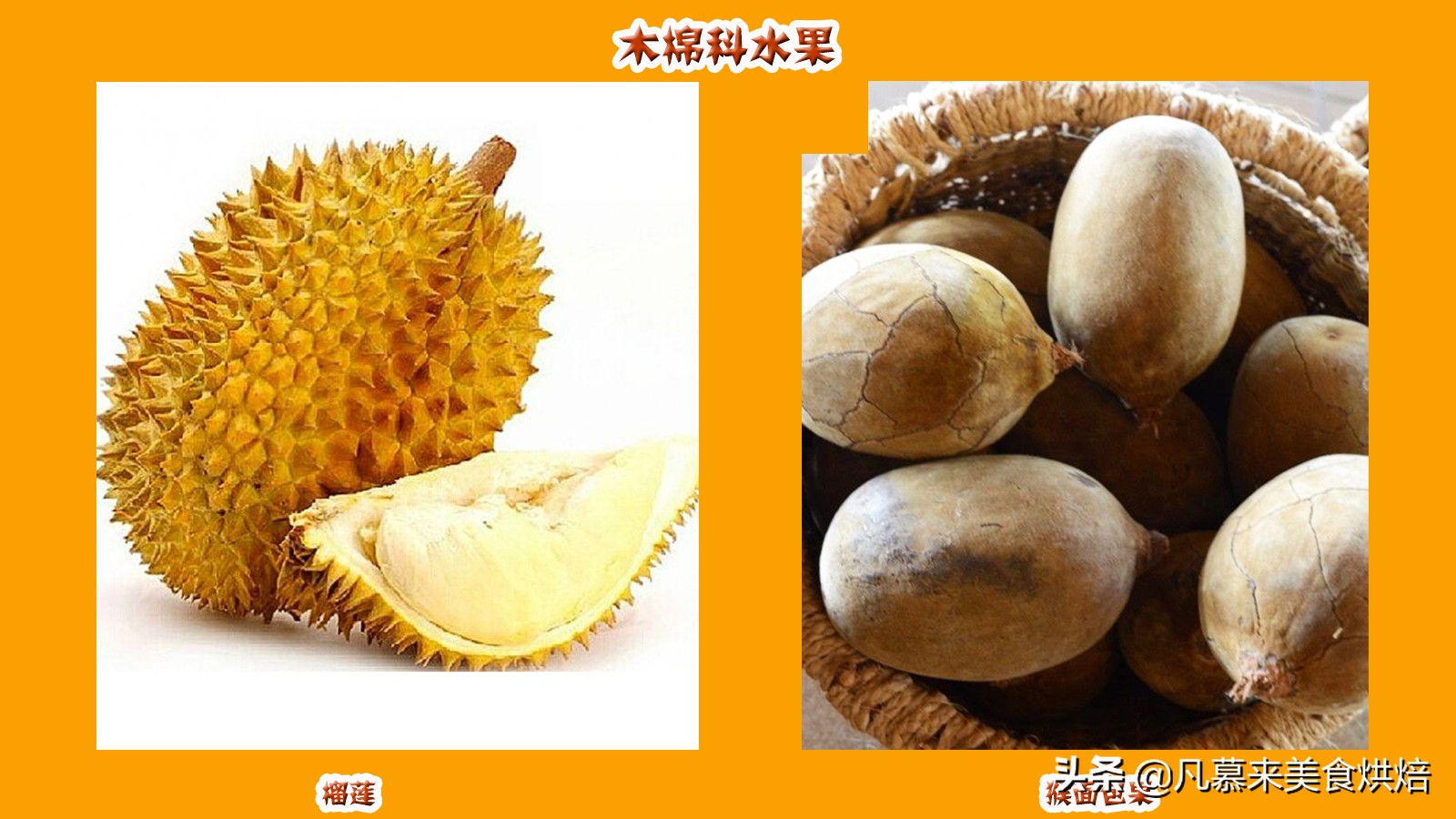 水果百科知识大全水果种类,水果种类大全水果如何分类