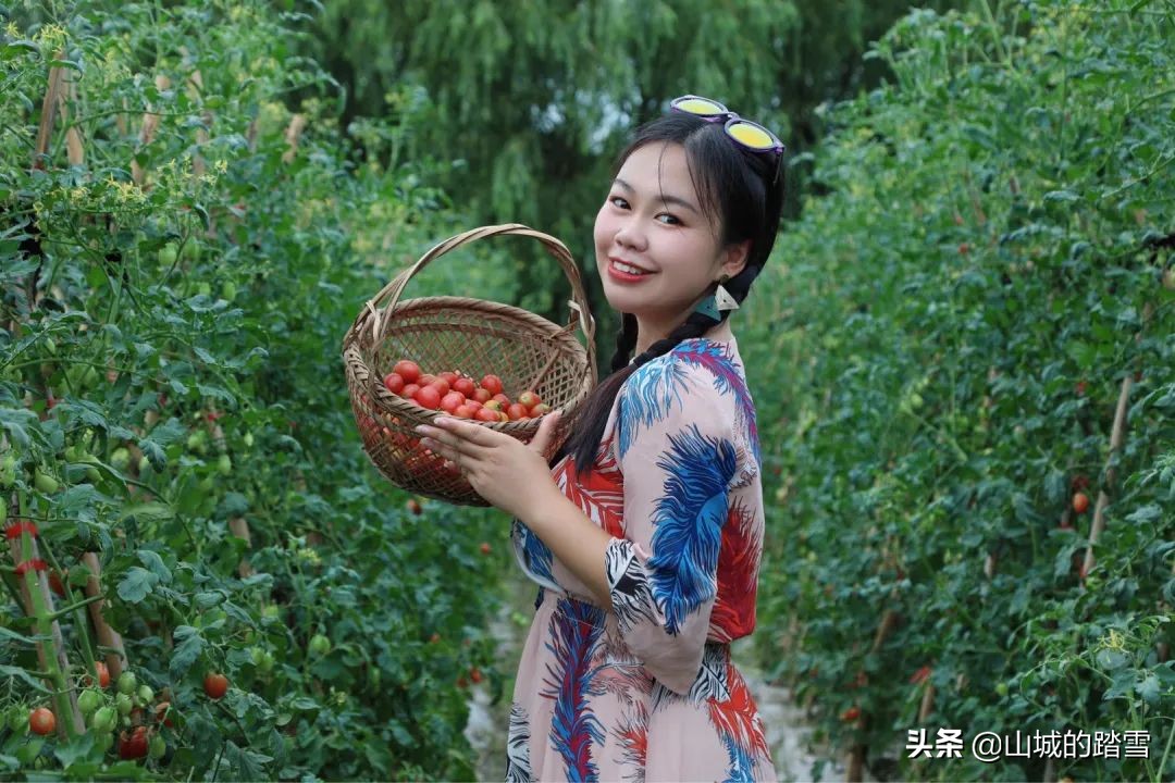 常熟沙家浜旅游攻略,苏州常熟沙家浜