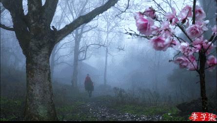 李子柒田园生活的魅力在哪里,当李子柒看到了不一样的田园生活
