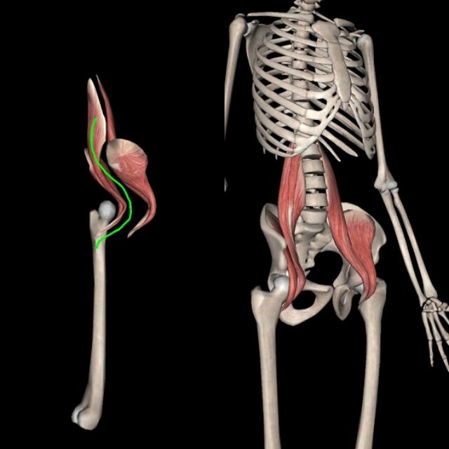 锻炼髂腰肌最有效方法图解,不懂健身动作练到的肌肉