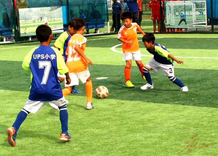 苏州市市长杯青少年足球比赛,市长杯足球比赛掠影