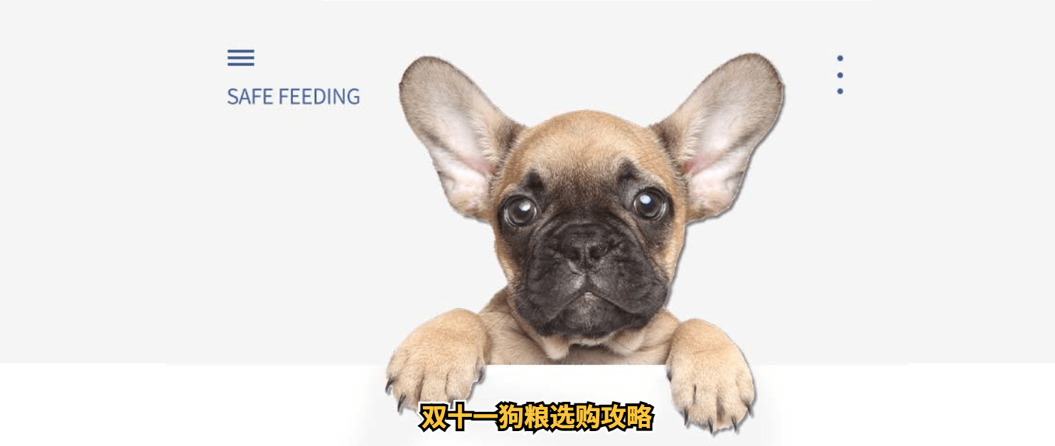 双十一狗粮（犬粮）的选购攻略，主流9款主粮点评
