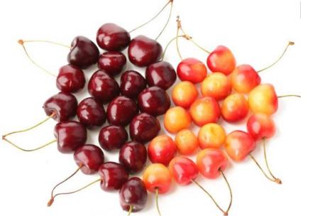 国内樱桃和进口车厘子的区别,山东大樱桃和车厘子有什么区别