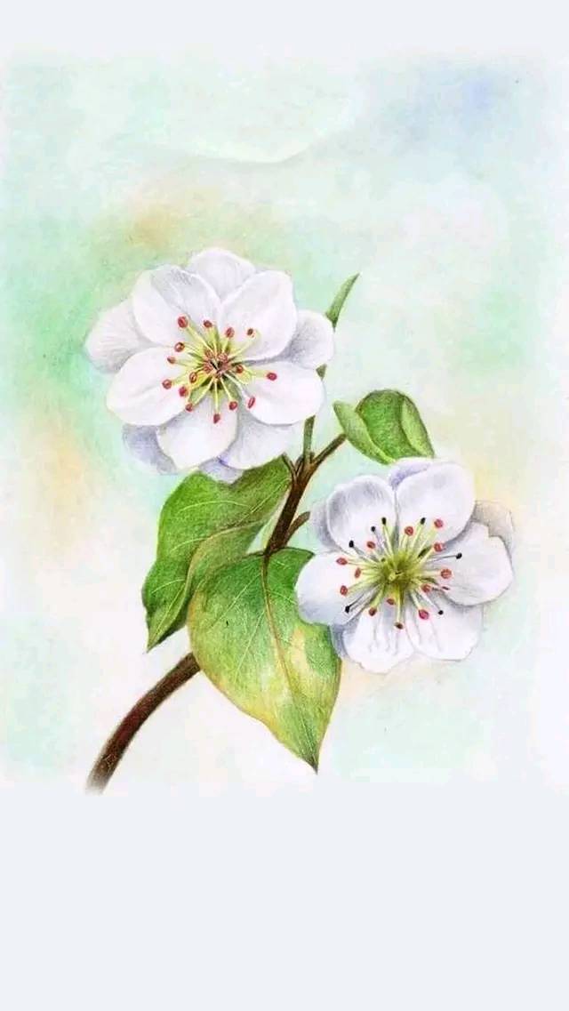 哪首歌藏着你的故事,你的故事藏在哪首歌里