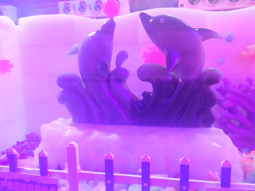 珠海神秘岛两大两小套票,珠海神秘岛乐园