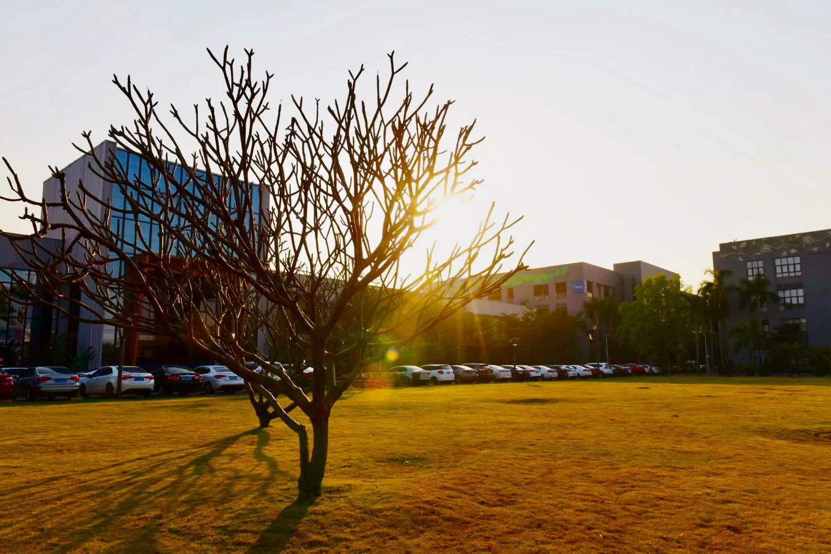 缇庣殑鍏ㄧ悆鍒涙柊涓績涓婄彮鏃堕棿,缇庣殑鍏ㄧ悆鍒涙柊涓績