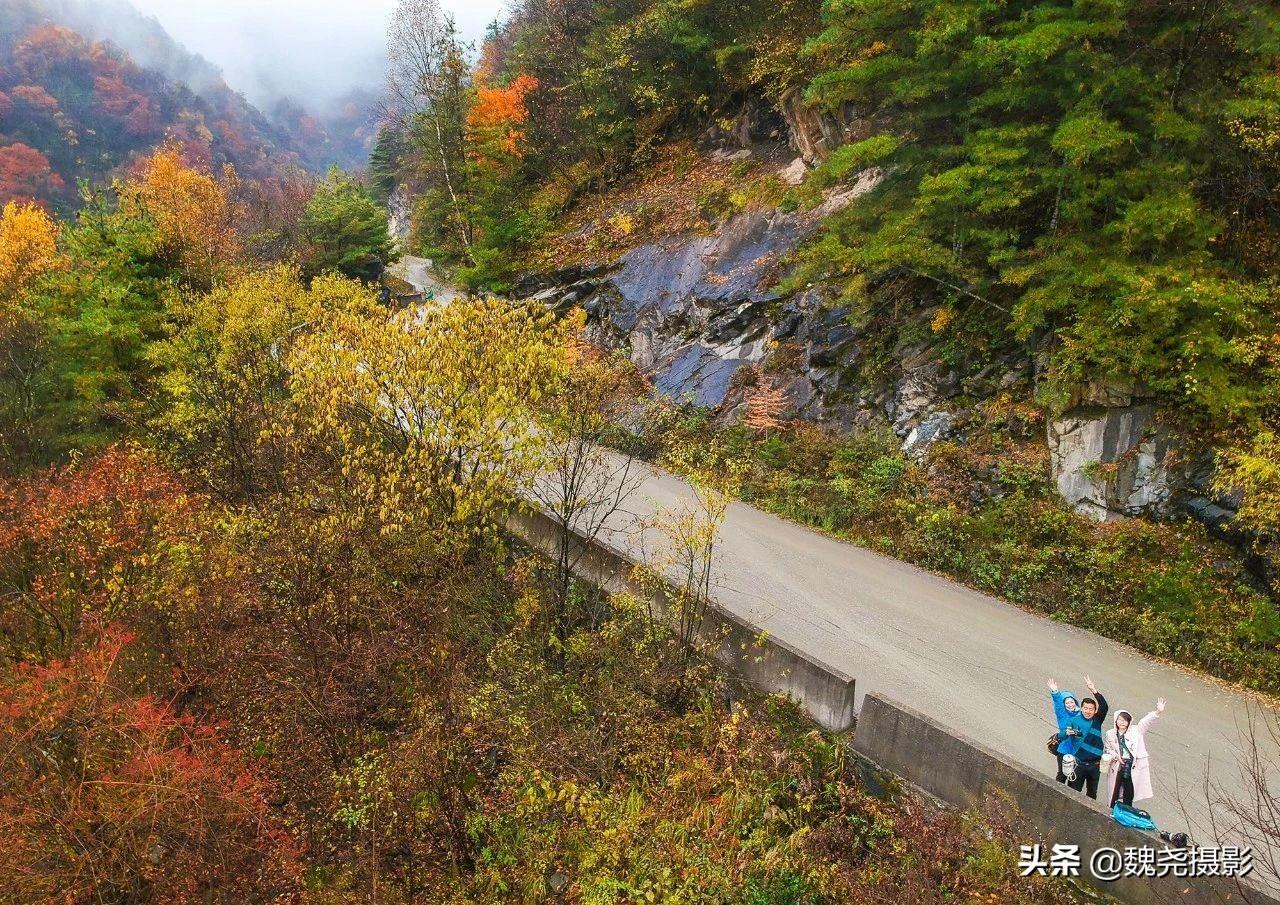 留坝秦岭之夜,留坝秦岭森林公园
