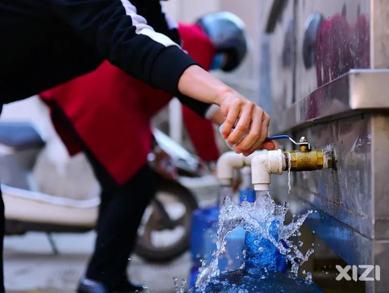 美丽鹅城,最美鹅城