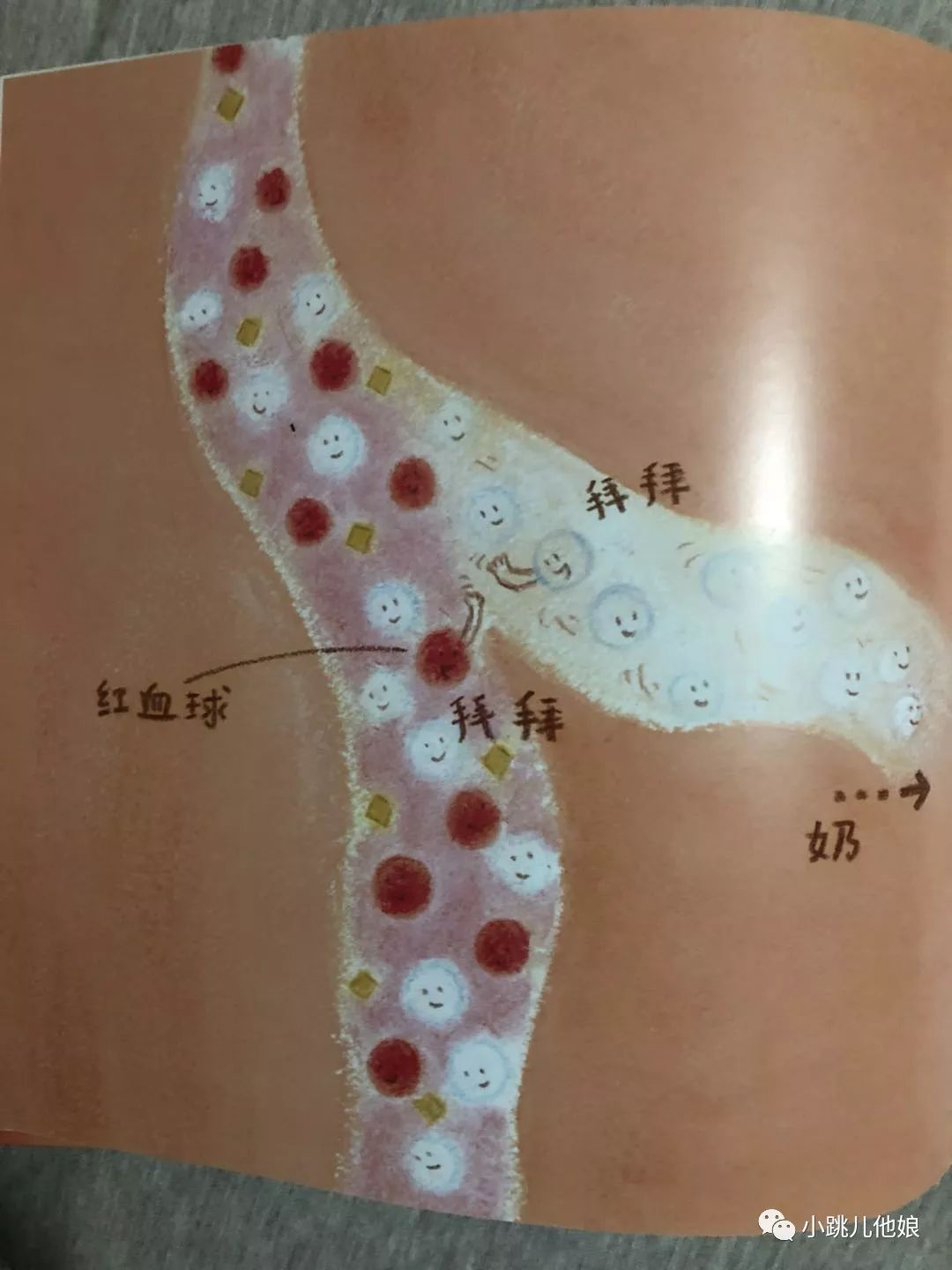 善解童贞的十大原则,善解童贞十大原则