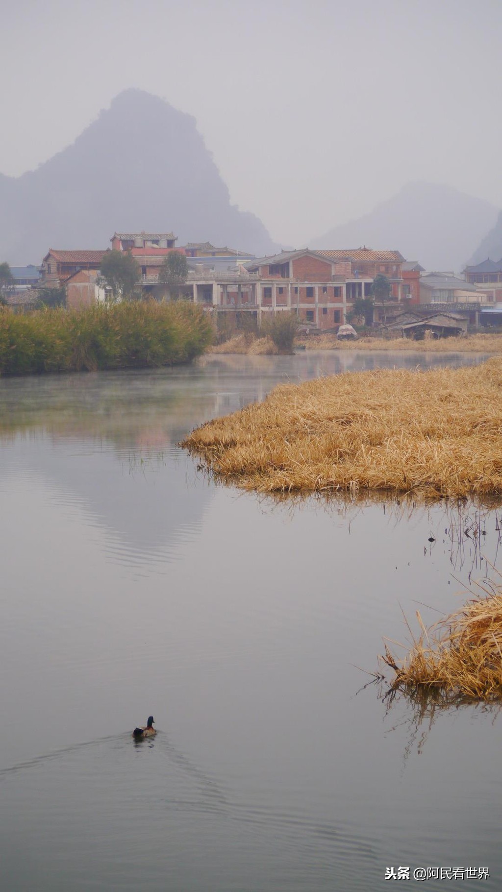 云南普者黑元阳坝美6天旅游攻略,云南建水普者黑旅游路线