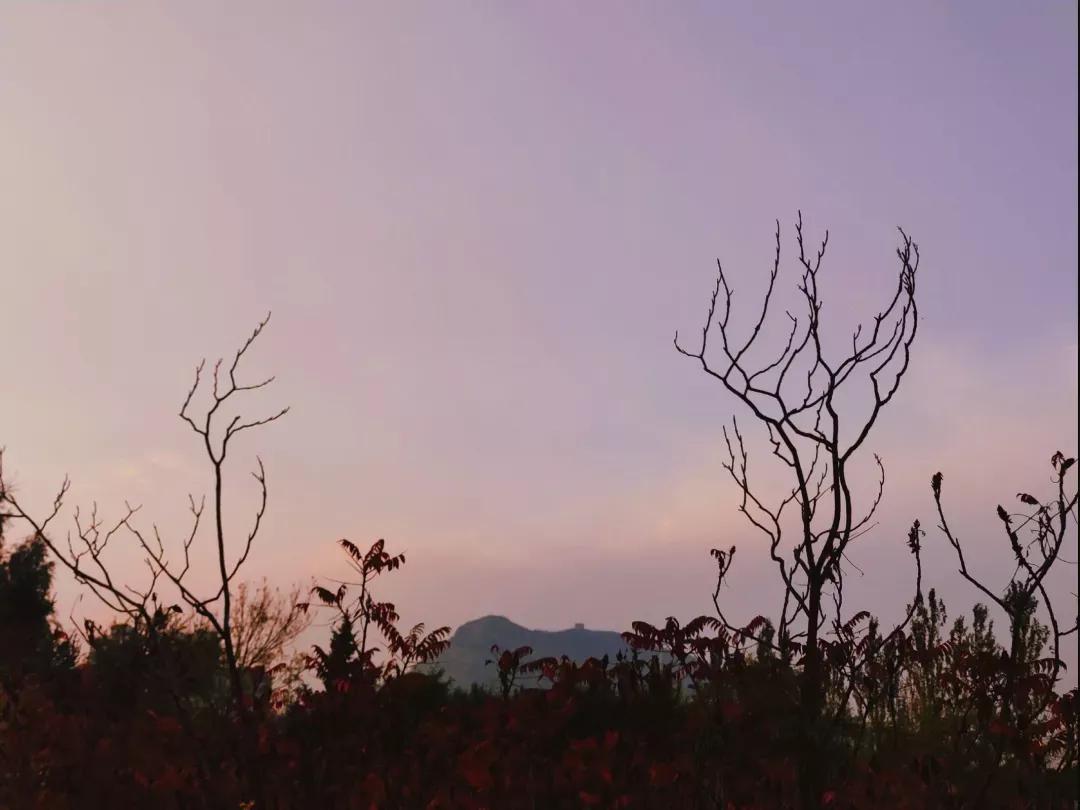 辽宁工程技术大学辽宁省分数线,辽宁工程技术大学在辽宁省排名