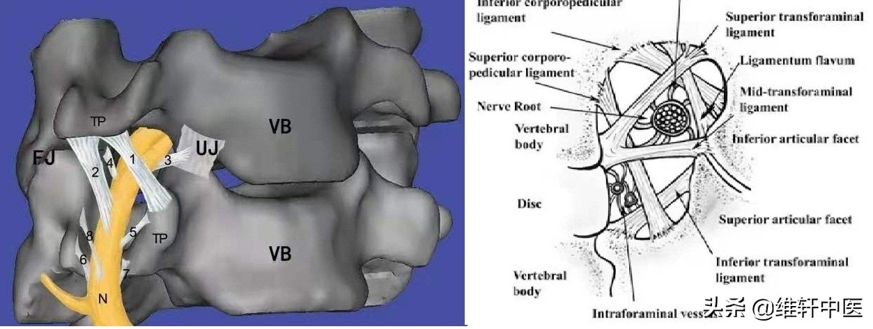 王氏中医导引踩跷法治疗“脑雾”现象