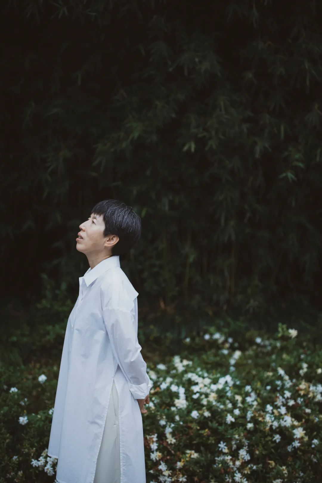 魔女芮乃伟,巅峰芮乃伟