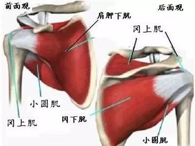 你的肩膀“冻住”了吗？