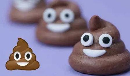 泰迪犬的便便怎么处理,幼犬泰迪大便稀臭怎么办