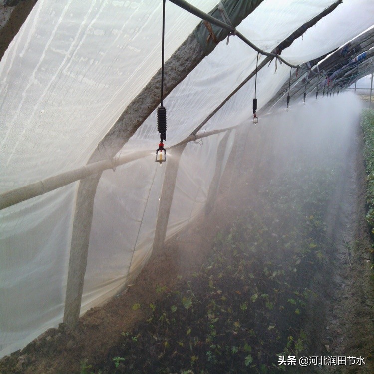 微喷灌整套安装示意图,微喷头组装