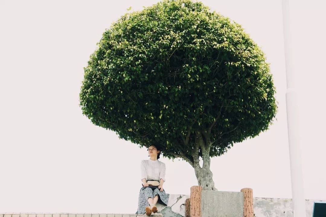 深圳最适合亲子游的好去处,深圳周末家庭游玩好去处