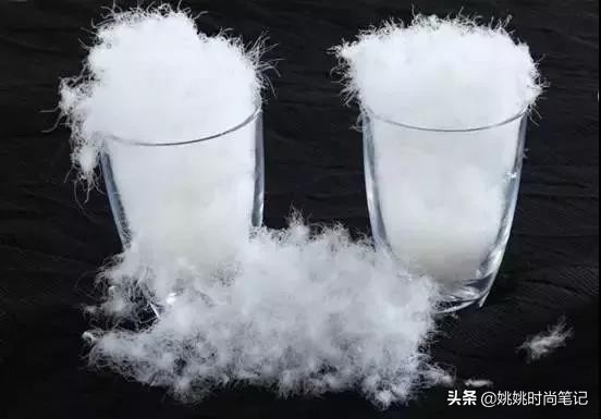 鸭绒或鹅绒充绒量多少暖和,是鸭绒服好还是鹅绒服好