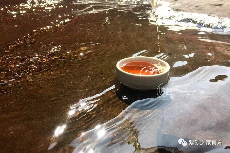 用最简单的方法泡出最好口感的茶,学会这两个小技巧泡出的茶更香