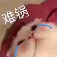 毕业论文英文文献检索网站有哪些,常见的论文文献检索数据库