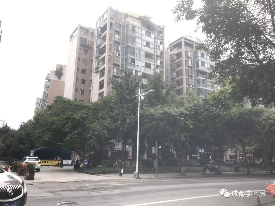 和泡小非常像的一个分校之最全盘点！​