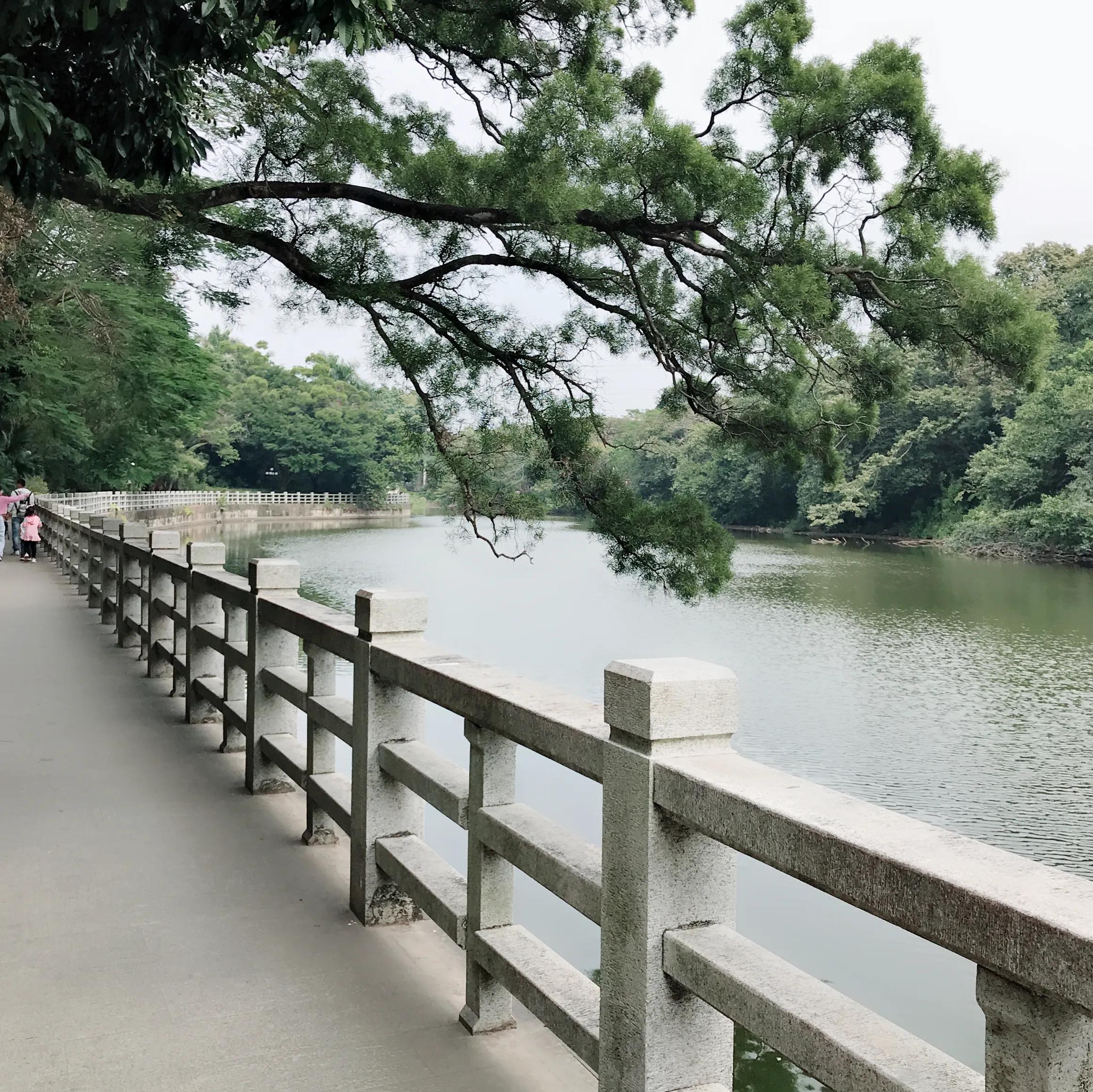 閬涘▋濂藉幓澶勮強鑺卞睍,娣卞湷閬涘▋鐪嬪睍