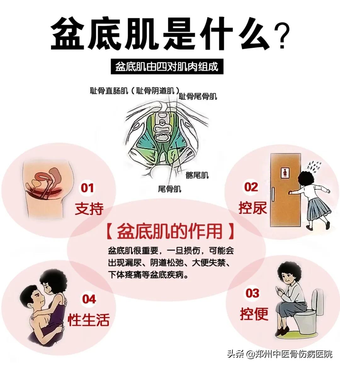 产后宝妈必知盆底肌修复,产后修复每个妈妈的必修课