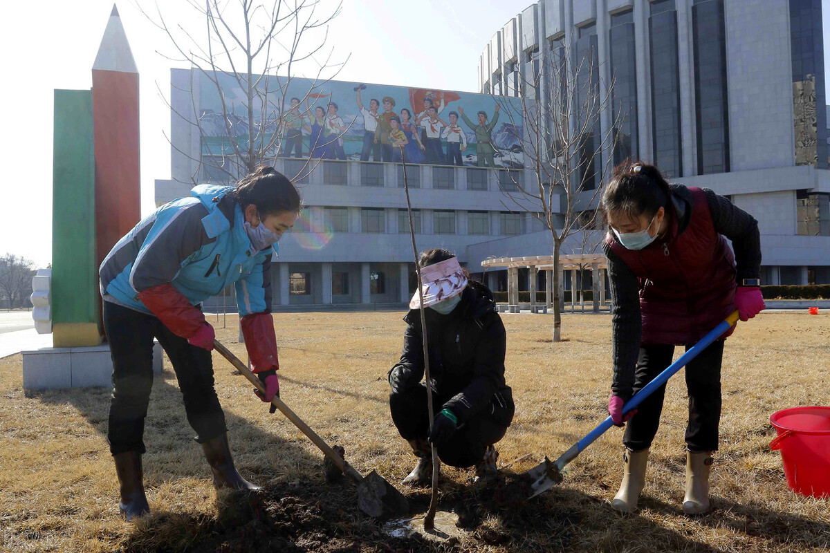 朝鲜不工作有补贴吗,朝鲜导游家庭条件