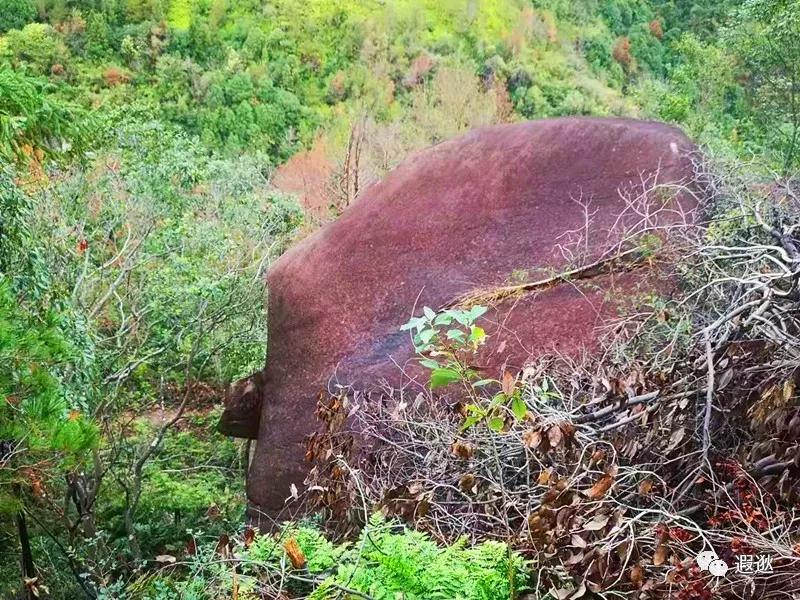 温州居然有这么美的小众景点,温州青龙山风景区在哪里