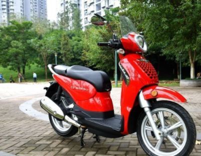 金城圣甲虫出口,金城圣甲虫200座高