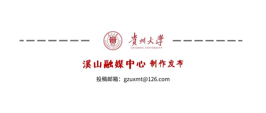 全国大学生英语四六级查分,英语四六级今日查分图片