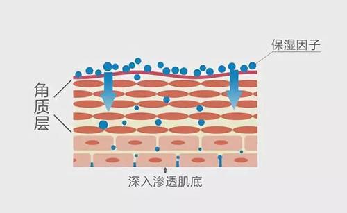 毛孔粗大肤质差如何去收缩毛孔,遮毛孔粗大收缩毛孔最有效的方法