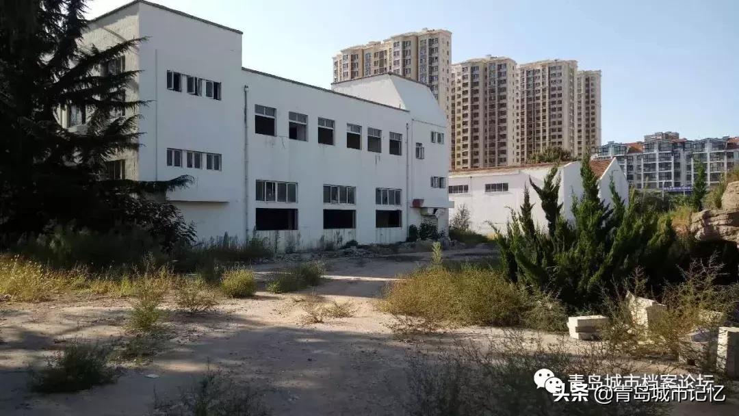 青岛红葡萄酒简介,青岛葡萄酒发展史