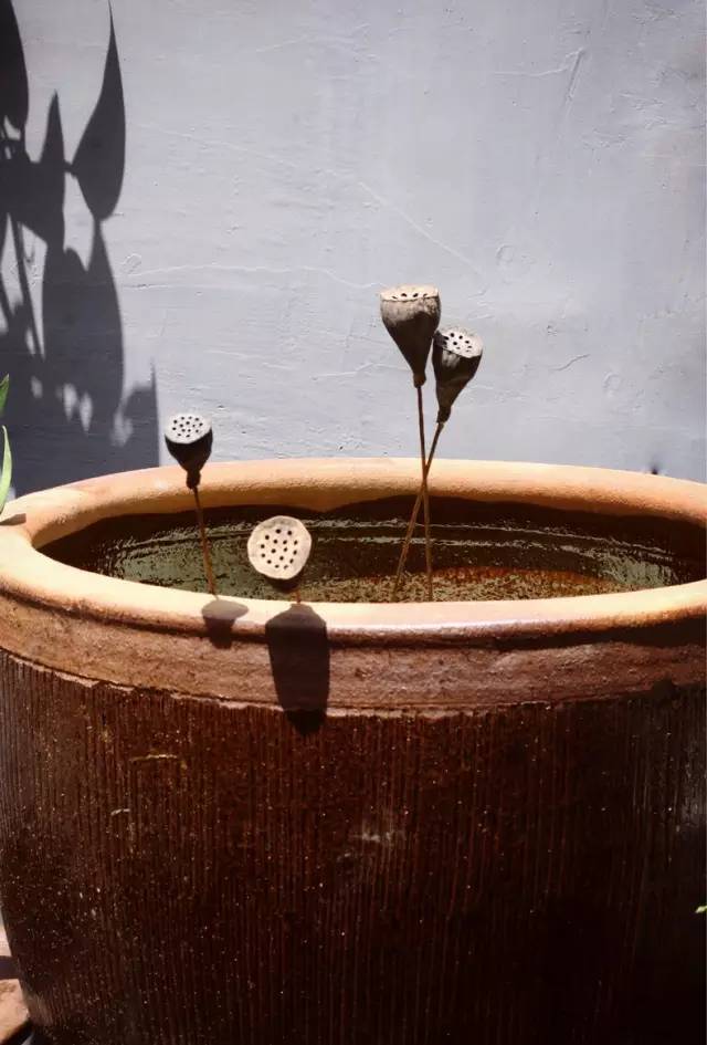 梦想改造家小户型,农村庭院改造效果图大全