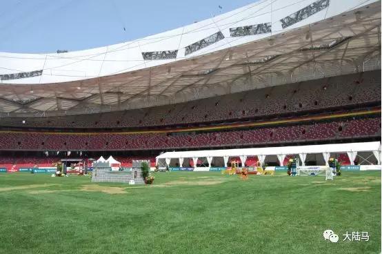 重温鸟巢马术大师赛十年梦之路：赵丽颖林志玲彭于晏现场见证