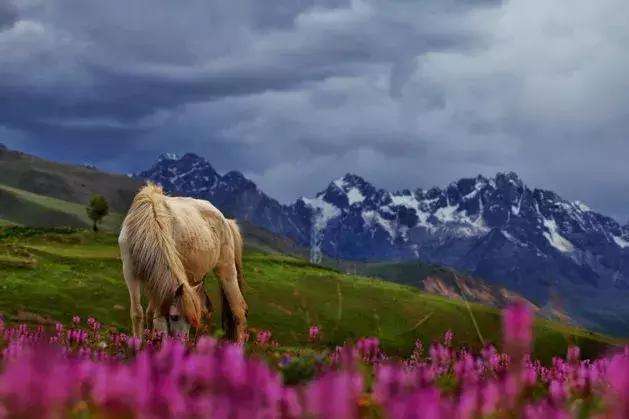 不愿意去人挤的地方,不想去外面人挤人又想人少景美