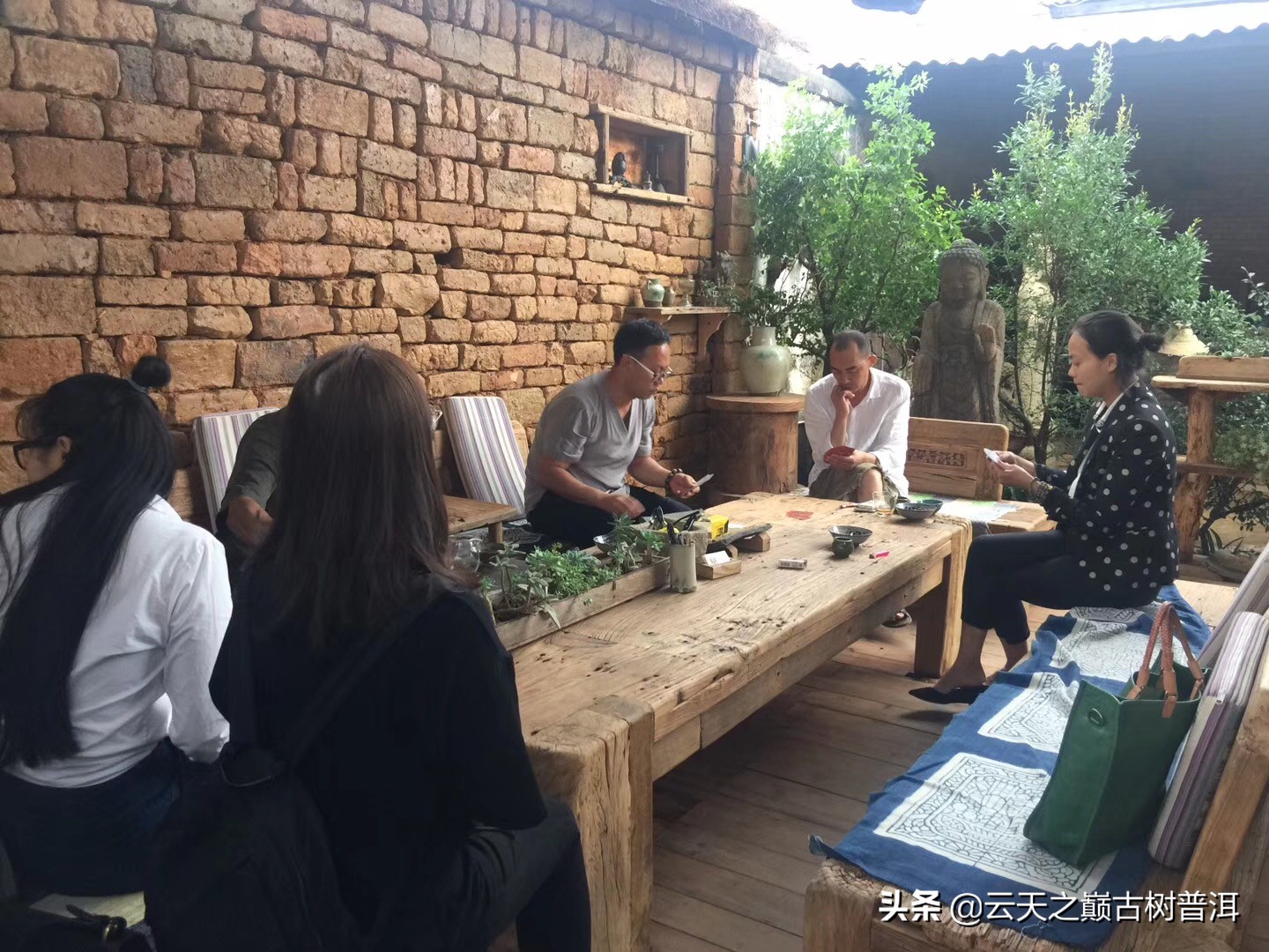 如果主人倒茶给你你不喝怎么说,主人问你茶好不好喝怎么回答