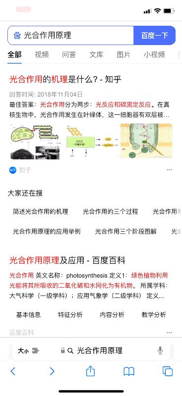 怎么防止浏览器自动跳转app,怎么避免小程序跳转app