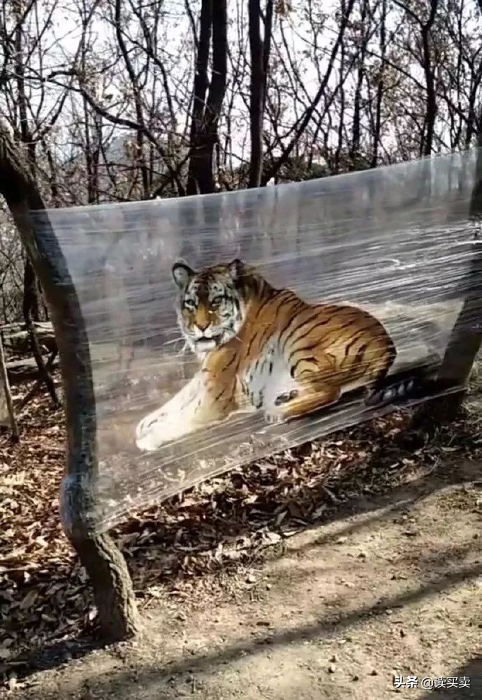 怎么判断男生直不直男,如何判断一个男生直不直