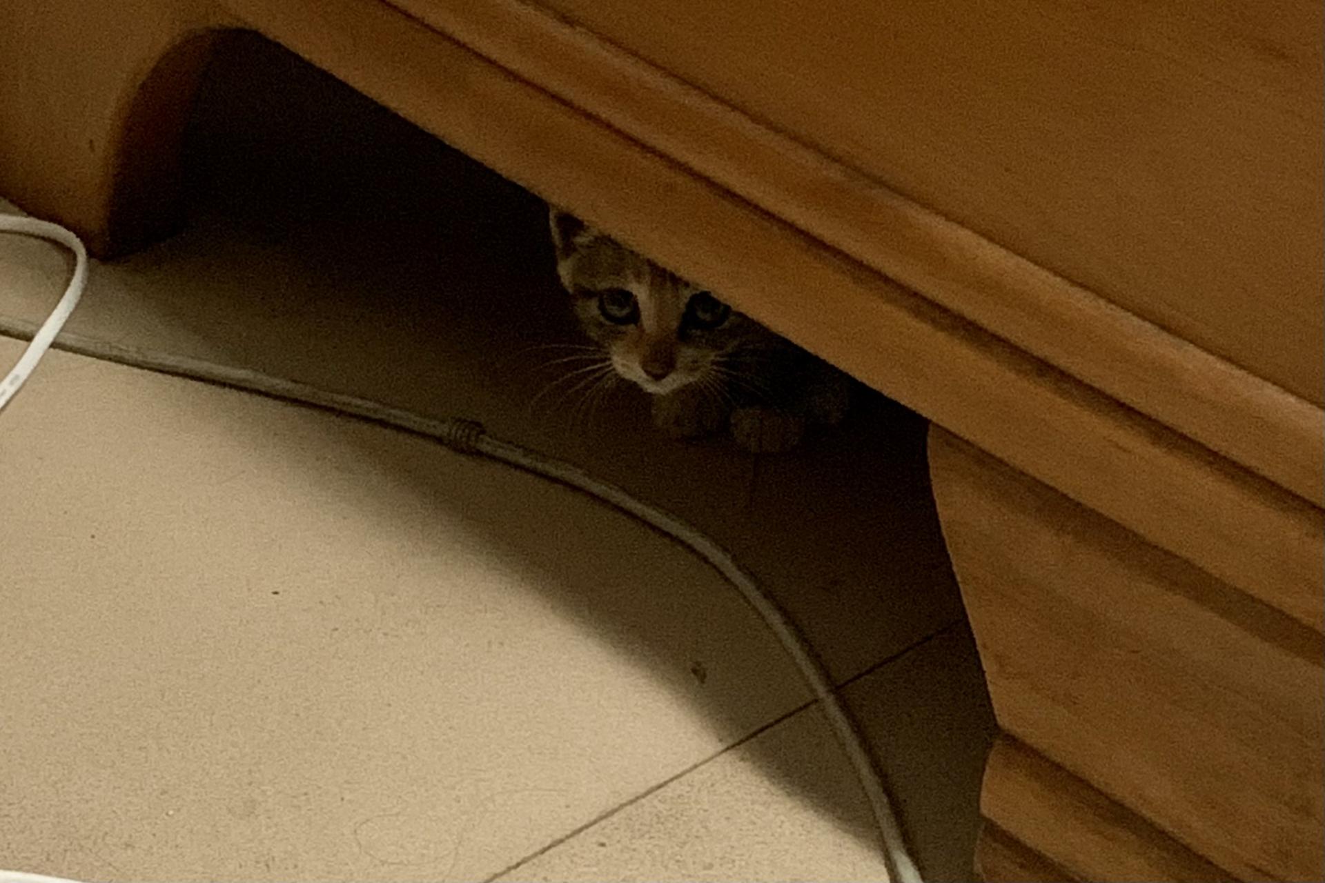 平价打工人好物,普通打工人平价好物