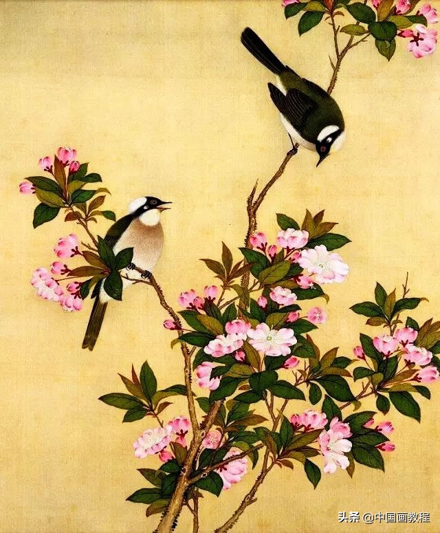 画羽毛的小技巧,根根分明的羽毛画法