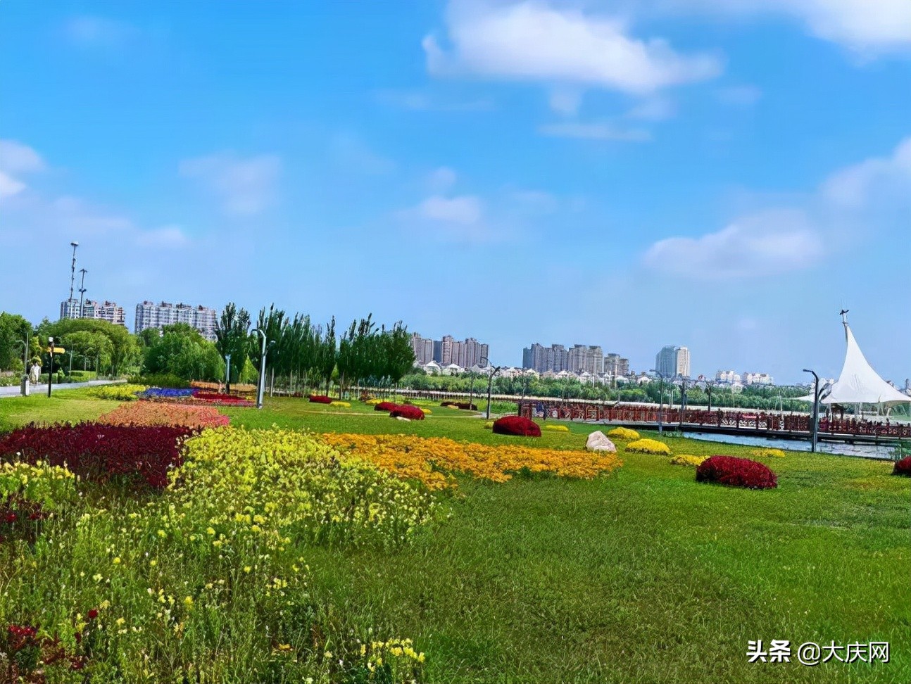 大庆滨水绿道景观,大庆绿道在哪里