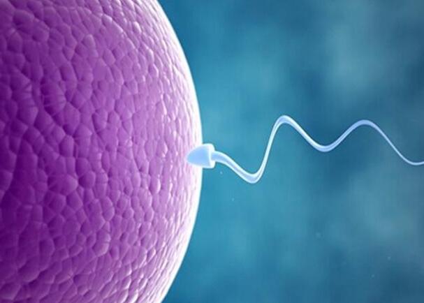 第三代试管婴儿究竟有什么不一样,第三代试管婴儿技术是怎样的