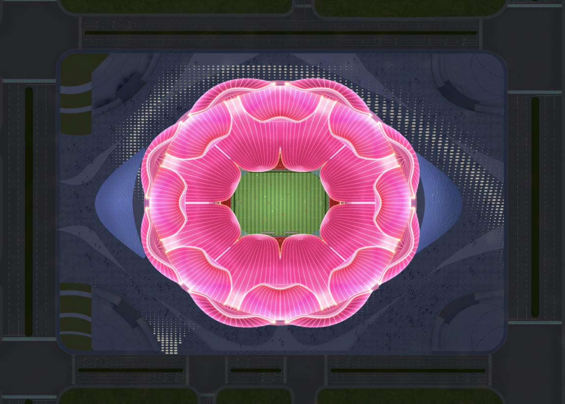 最美荷花盛开早晨图片,最美荷花绽放的整个过程视频