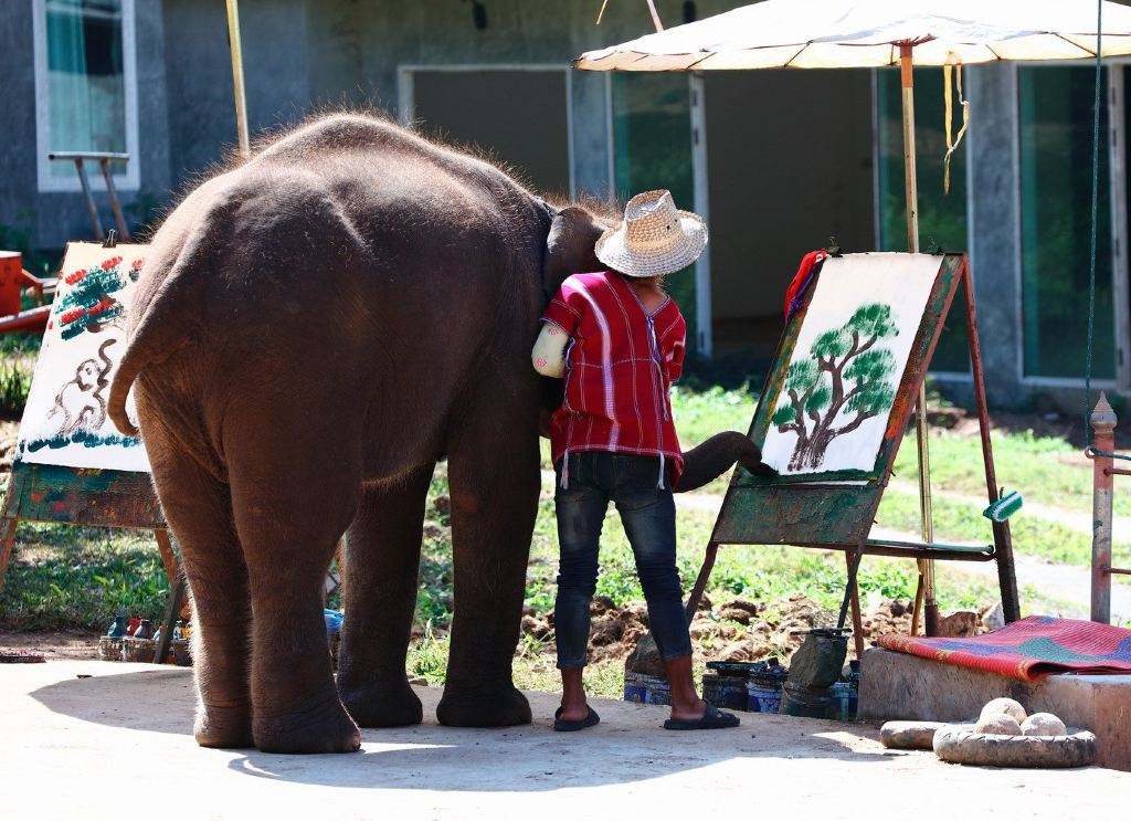 被判死刑的大象玛丽,大象为什么会被人绞死