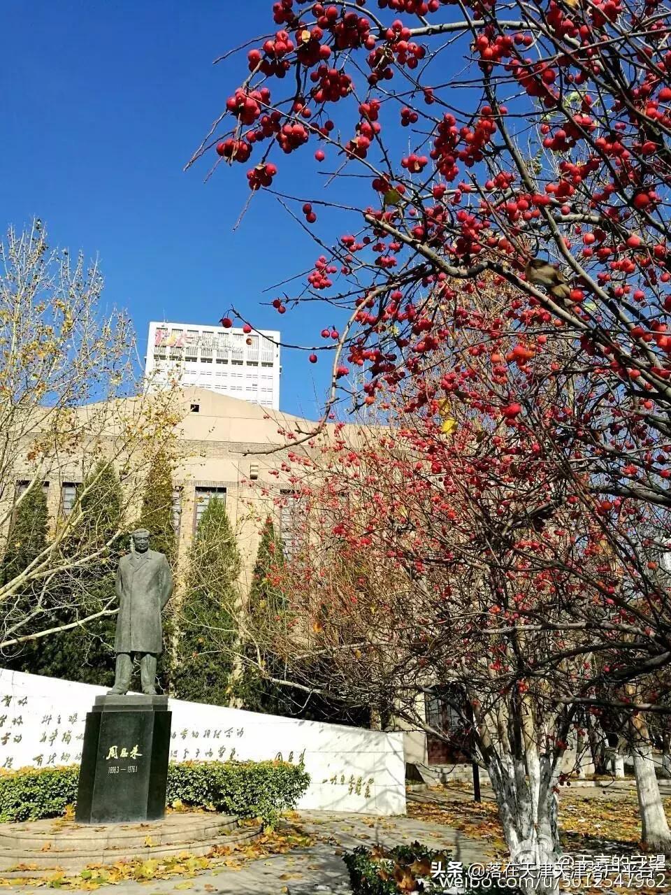 一共有几所南开学校,南开区的中学真实排名